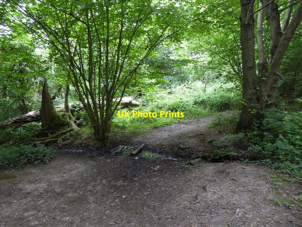 Photo 6"x4" London Countryway in Kent (206) Hanging Bank c2016