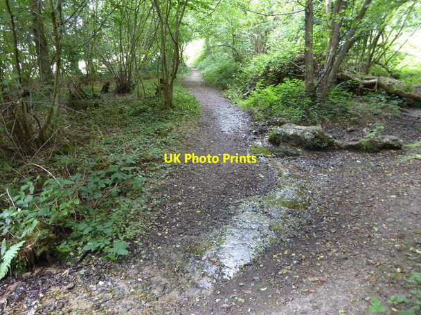 Photo 6"x4" London Countryway in Kent (207) Hanging Bank c2016