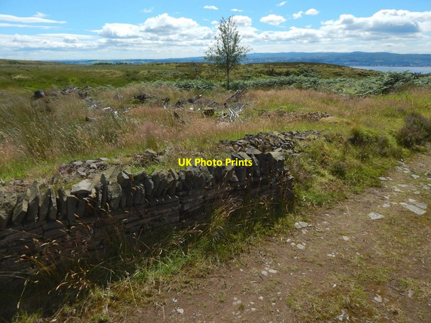 Photo 6"x4" Old and new dry-stone walls Arden\/NS3684 c2016