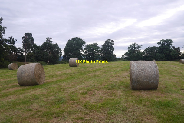 Photo 6"x4" Round bales, Caynham Camp Caynham\/SO5473 c2016