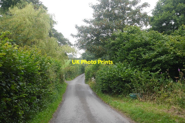 Photo 6"x4" Crossing Betchcott Brook Walkmills c2016