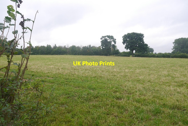 Photo 6"x4" Field by Whitlea Leebotwood c2016