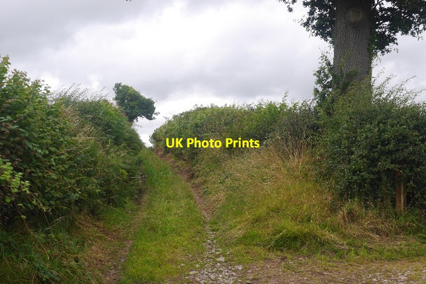 Photo 6"x4" Green lane, Wilderley Church Pulverbatch c2016 P1
