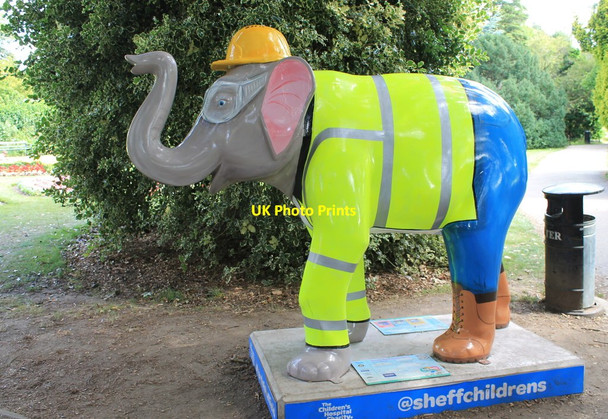 Photo 6"x4" 44 'Henry the Constructor' - Botanical Gardens Sheffield\/SK3587 c2016