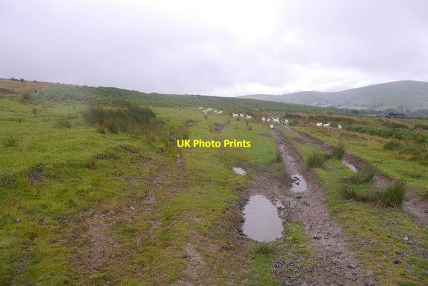Photo 6"x4" Tracks on Beacon Hill Gwerneirin\/SO1880 c2016