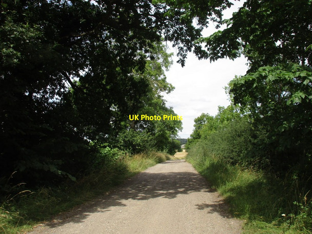 Photo 6"x4" Bridleway to Rotherham Baulk Wallingwells c2016