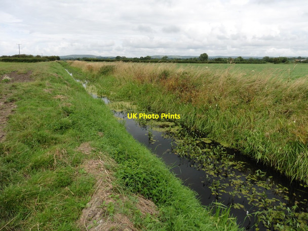 Photo 6"x4" Shipham Rhyne Ashton\/ST4149 c2016