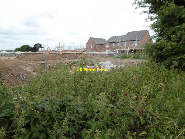 Photo 6"x4" New houses Napleton c2016