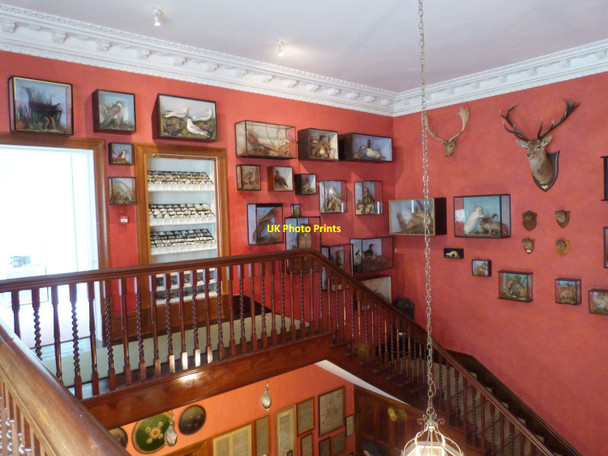 Photo 6"x4" The Grand Staircase at Overbecks House Museum, Near Salcombe Salcombe c2016
