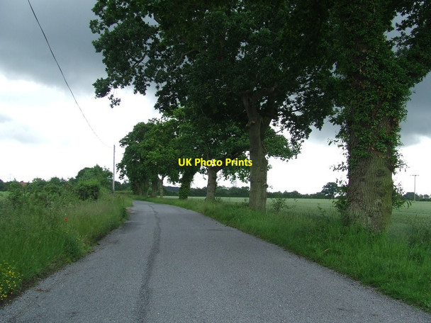 Photo 6"x4" Minor Road Knodishall c2016