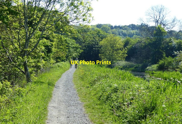 Photo 6"x4" Towpath along the Union Canal Whitecross\/NS9676 c2016