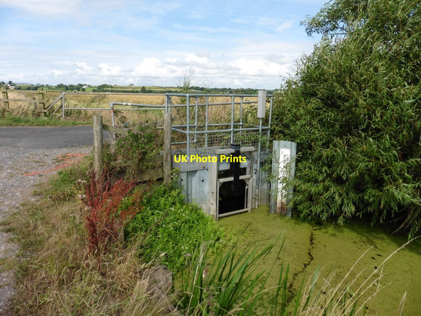 Photo 6"x4" Weir on Bounds Rhyne Westham\/ST4046 c2016