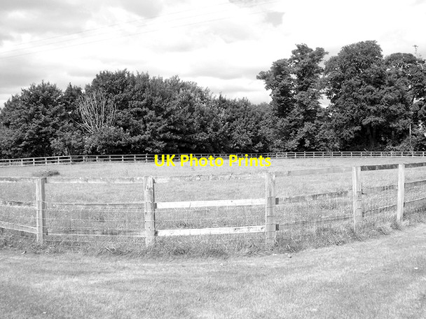 Photo 6"x4" Paddock by Hill Farm Barton Bendish c2016