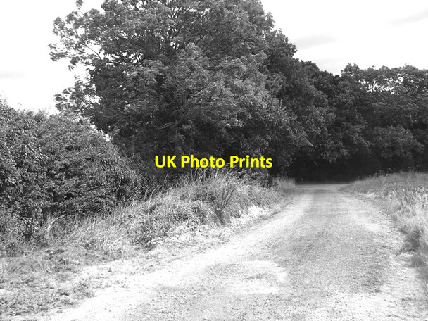 Photo 6"x4" Farm road approaching Field Barn Barton Bendish c2016