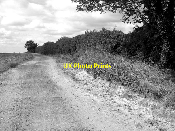 Photo 6"x4" Track to Middle Drove Barton Bendish c2016