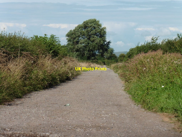 Photo 6"x4" Track on Little Moor Cote\/ST3444 c2016