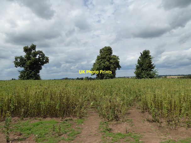 Photo 6"x4" Former parkland at Snitterfield Snitterfield c2016