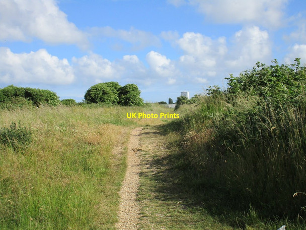 Photo 6"x4" Path on Milton Common Portsmouth\/SU6501 c2016