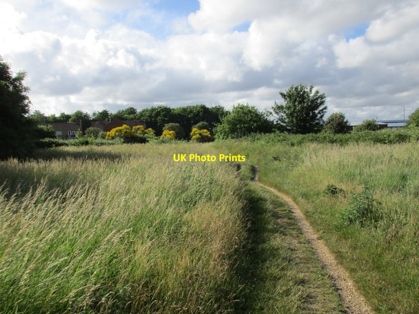 Photo 6"x4" Milton Common Portsmouth\/SU6501 c2016