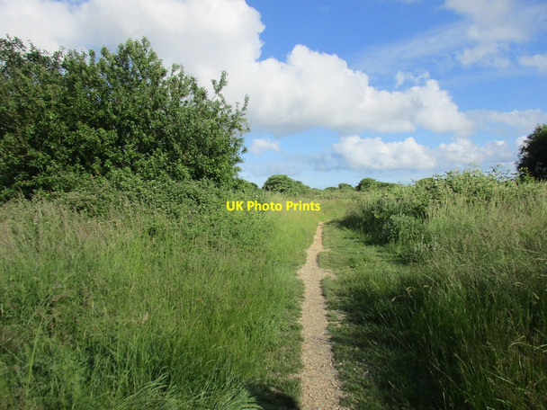 Photo 6"x4" Milton Common Portsmouth\/SU6501 c2016 P1