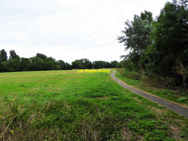 Photo 6"x4" Willow Meadows, Carterton, Oxon Carterton\/SP2806 c2016