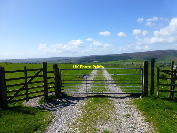 Photo 6"x4" Track over Appletreewick pasture Appletreewick c2016