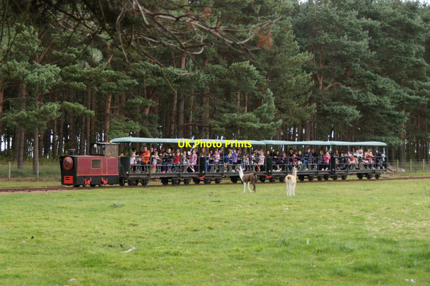 Photo 6"x4" Narrow gauge railway at East Links Family Park, Dunbar West Barns c2016
