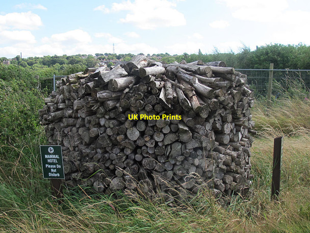 Photo 6"x4" Mammal hotel at Rodley nature reserve Horsforth c2016