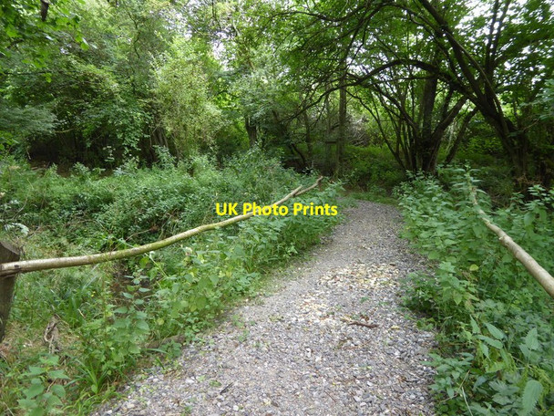 Photo 6"x4" Bridleway crosses the River Adur near Fewhurst Farm Billingshurst c2016