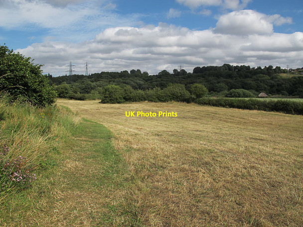 Photo 6"x4" Hay meadow at Rodley nature reserve Horsforth c2016