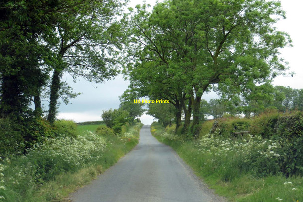 Photo 6"x4" Back Lane to Whitechapel Hesketh Lane c2015