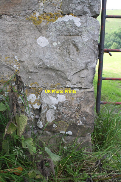 Photo 6"x4" Benchmark on roadside barn in Haverdale Crackpot c2016