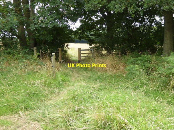 Photo 6"x4" The West Sussex Literary Trail approaches field boundary Balls Green\/TQ1023 c2016