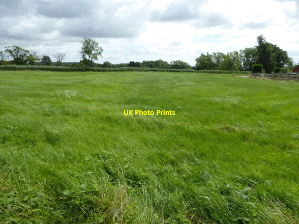 Photo 6"x4" Field near Moat Farm Baughton c2016