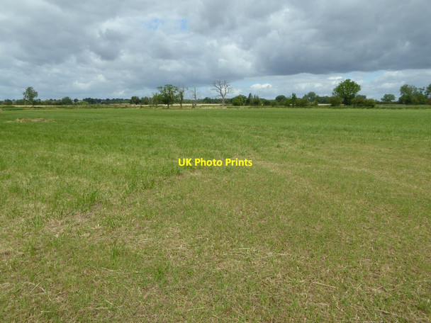 Photo 6"x4" Field at Baughton Baughton c2016