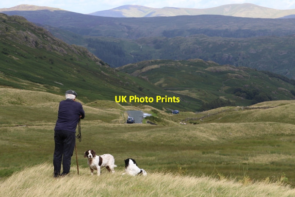 Photo 6"x4" South of Hause Gill looking towards Seatoller Fell Seathwaite\/NY2312 c2016