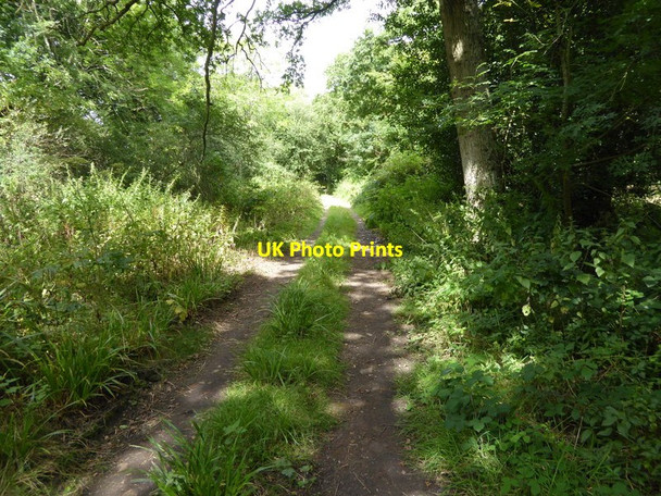 Photo 6"x4" Oldhouse Lane with sunshine Broadford Bridge c2016