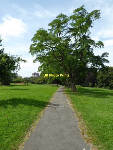 Photo 6"x4" Path in Victoria Park Windmill Hill\/ST5971 c2016