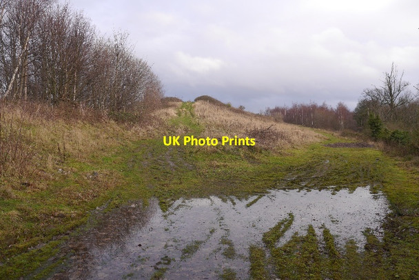 Photo 6"x4" Carberry landfill site Dalkeith\/NT3467 c2016