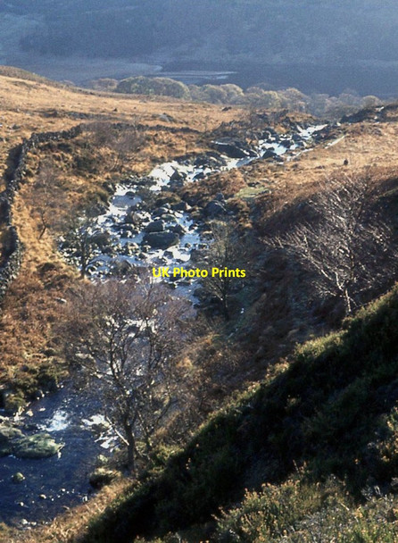 Photo 6"x4" Buchan Burn above Loch Trool Buchan Hill\/NX4281 c1977