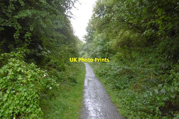 Photo 6"x4" Silksworth Colliery Railway Tunstall\/NZ3853 c2016