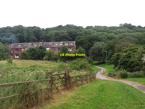 Photo 6"x4" Path to Meanwood Road Leeds\/SE3034 c2016