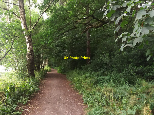 Photo 6"x4" Crag Lane, Alwoodley (1) Alwoodley Park c2016