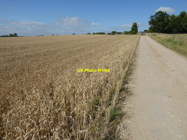 Photo 6"x4" Track and footpath to Strensham Upper Strensham c2016