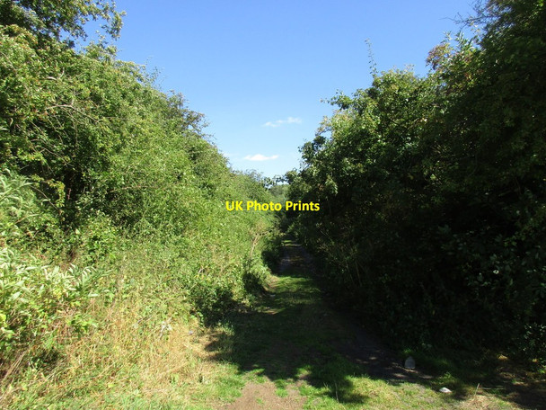 Photo 6"x4" Causeway Lane Eaton\/SK7178 c2016
