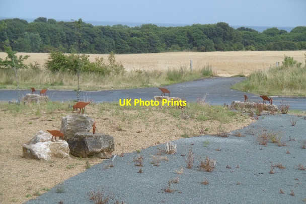 Photo 6"x4" Oystercatchers, Ryhope bypass Ryhope c2016