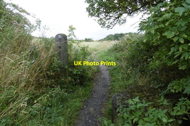 Photo 6"x4" Path to Seaham Seaham c2016