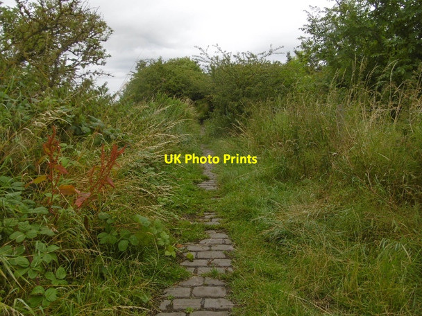 Photo 6"x4" Old road, Murton Greenhill\/NZ3947 c2016