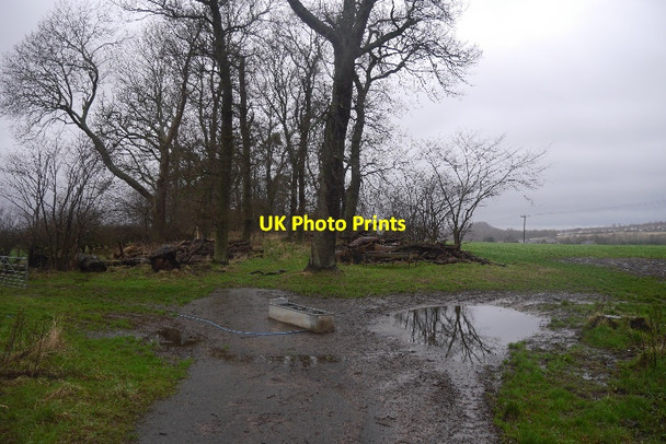 Photo 6"x4" Shank Avenue Arniston\/NT3461 c2016