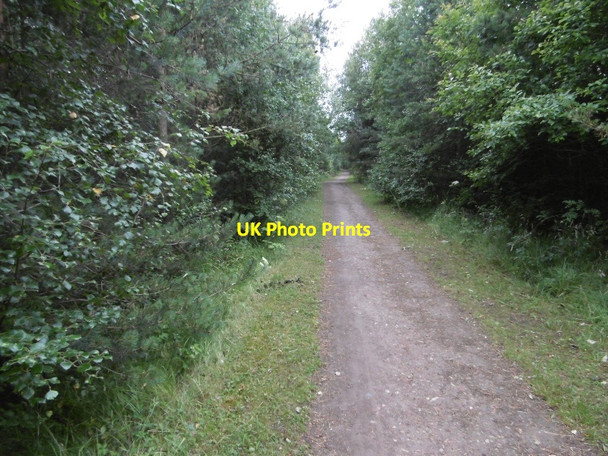 Photo 6"x4" Haswell to Hart Countryside Walkway Peterlee c2016